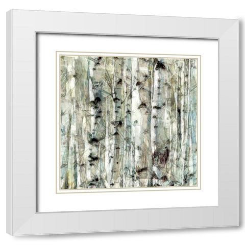 Birch Bunch IV White Modern Wood Framed Art Print with Double Matting by Saunders, Alonzo