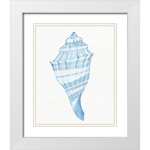 Blue Shell II White Modern Wood Framed Art Print with Double Matting by OToole, Tim
