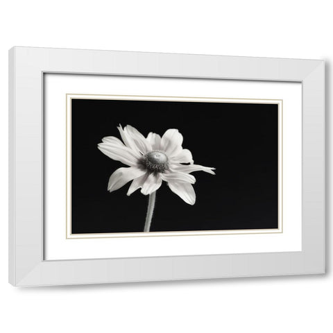 Elegance Floral I White Modern Wood Framed Art Print with Double Matting by Poinski, Dianne
