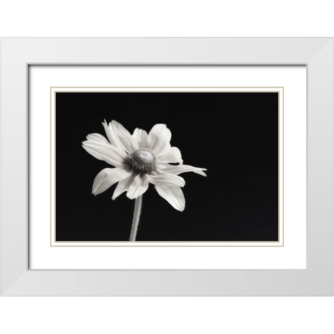 Elegance Floral I White Modern Wood Framed Art Print with Double Matting by Poinski, Dianne