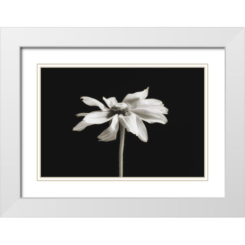 Elegance Floral II White Modern Wood Framed Art Print with Double Matting by Poinski, Dianne