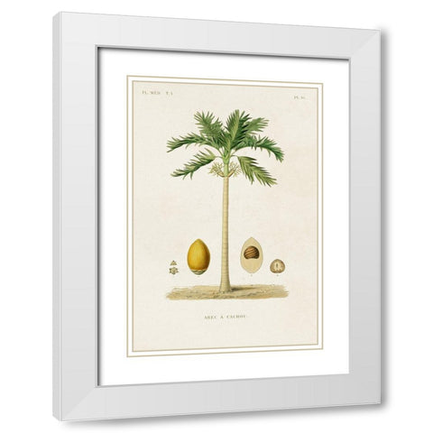 Antique Tree with Fruit II White Modern Wood Framed Art Print with Double Matting by Unknown