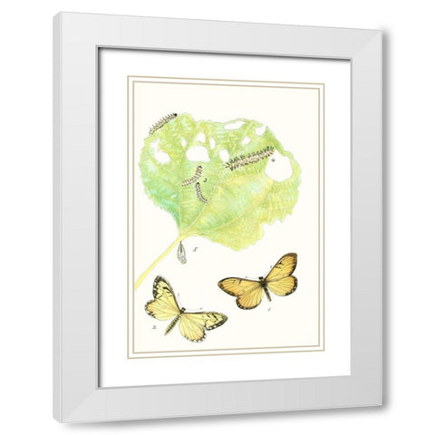 Antique Butterflies and Leaves II White Modern Wood Framed Art Print with Double Matting by Vision Studio