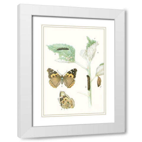 Antique Butterflies and Leaves III White Modern Wood Framed Art Print with Double Matting by Vision Studio