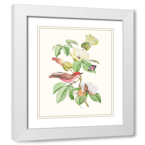 Cuvier Bird And Habitat III White Modern Wood Framed Art Print with Double Matting by Cuvier, Georges