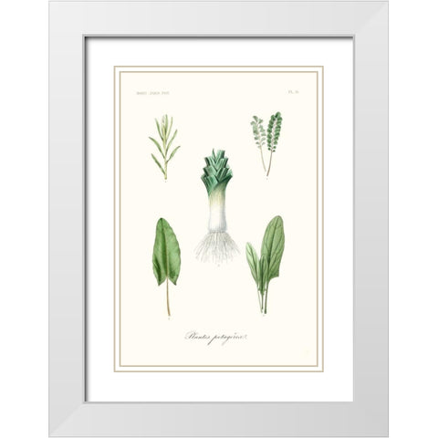 Fruit And Vegetable Varieties I White Modern Wood Framed Art Print with Double Matting by Unknown