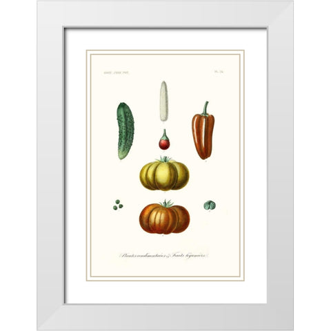 Fruit And Vegetable Varieties III White Modern Wood Framed Art Print with Double Matting by Unknown