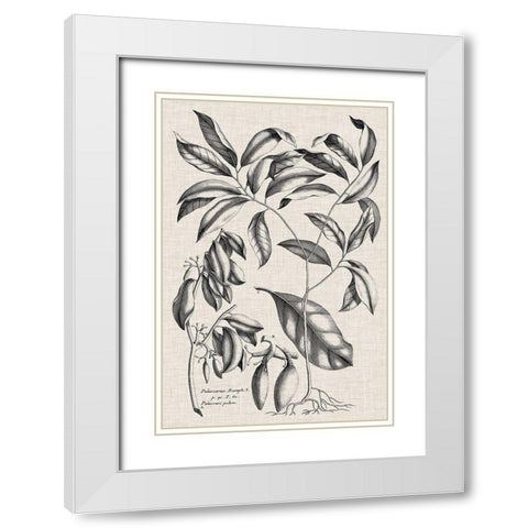 Custom Black And Oatmeal Linen Botanical I White Modern Wood Framed Art Print with Double Matting by Vision Studio