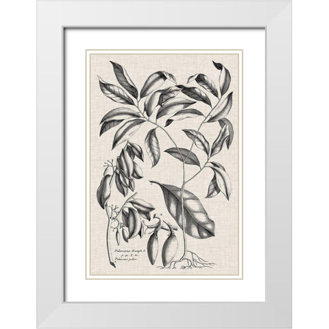 Custom Black And Oatmeal Linen Botanical I White Modern Wood Framed Art Print with Double Matting by Vision Studio