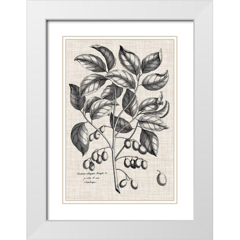 Custom Black And Oatmeal Linen Botanical II White Modern Wood Framed Art Print with Double Matting by Vision Studio