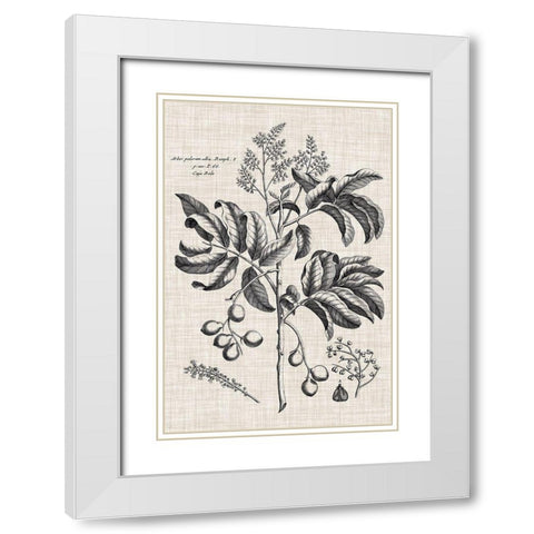 Custom Black And Oatmeal Linen Botanical IV White Modern Wood Framed Art Print with Double Matting by Vision Studio