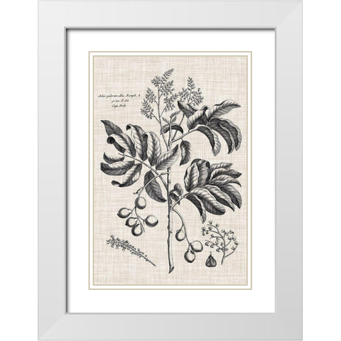 Custom Black And Oatmeal Linen Botanical IV White Modern Wood Framed Art Print with Double Matting by Vision Studio