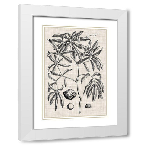 Custom Black And Oatmeal Linen Botanical V White Modern Wood Framed Art Print with Double Matting by Vision Studio