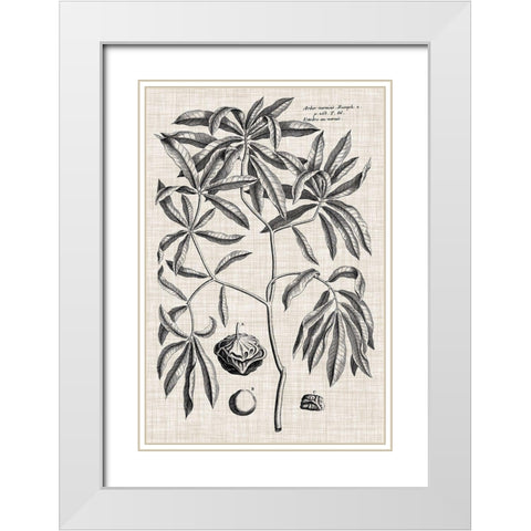 Custom Black And Oatmeal Linen Botanical V White Modern Wood Framed Art Print with Double Matting by Vision Studio