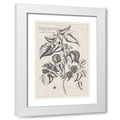 Custom Black And Oatmeal Linen Botanical VI White Modern Wood Framed Art Print with Double Matting by Vision Studio