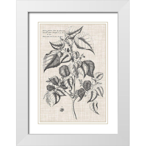 Custom Black And Oatmeal Linen Botanical VI White Modern Wood Framed Art Print with Double Matting by Vision Studio