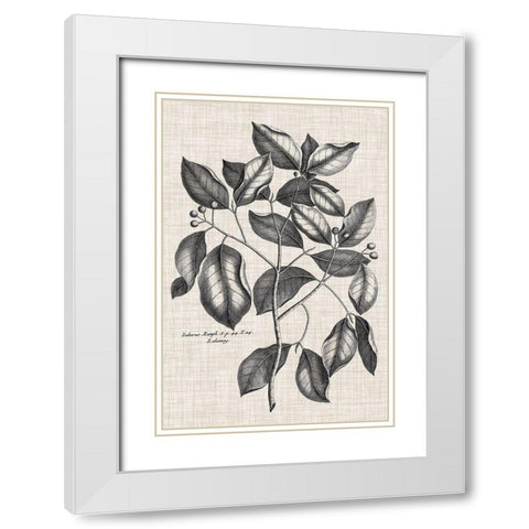 Custom Black And Oatmeal Linen Botanical VII White Modern Wood Framed Art Print with Double Matting by Vision Studio