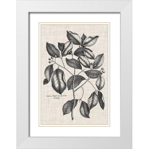 Custom Black And Oatmeal Linen Botanical VII White Modern Wood Framed Art Print with Double Matting by Vision Studio