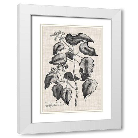 Custom Black And Oatmeal Linen Botanical VIII White Modern Wood Framed Art Print with Double Matting by Vision Studio