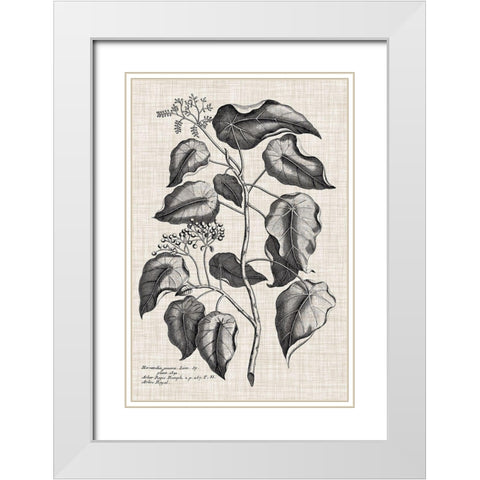 Custom Black And Oatmeal Linen Botanical VIII White Modern Wood Framed Art Print with Double Matting by Vision Studio