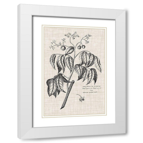 Custom Black And Oatmeal Linen Botanical IX White Modern Wood Framed Art Print with Double Matting by Vision Studio