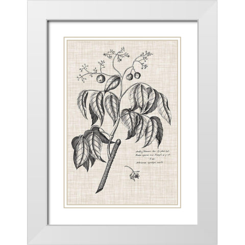 Custom Black And Oatmeal Linen Botanical IX White Modern Wood Framed Art Print with Double Matting by Vision Studio