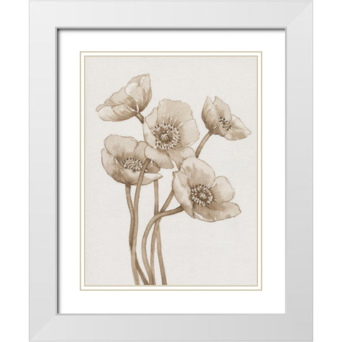 Poppies in Sepia II White Modern Wood Framed Art Print with Double Matting by OToole, Tim