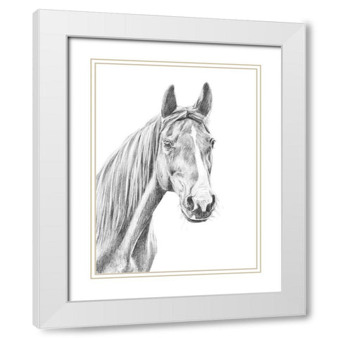 Equine Portrait Sketch I White Modern Wood Framed Art Print with Double Matting by Warren, Annie