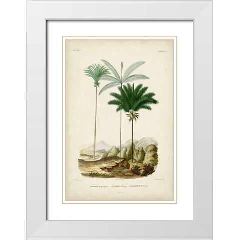 Antique Palm Collection II White Modern Wood Framed Art Print with Double Matting by DOrbigny, M. Charles