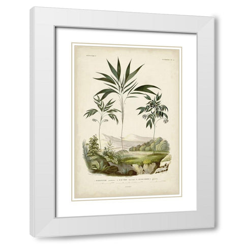 Antique Palm Collection III White Modern Wood Framed Art Print with Double Matting by DOrbigny, M. Charles