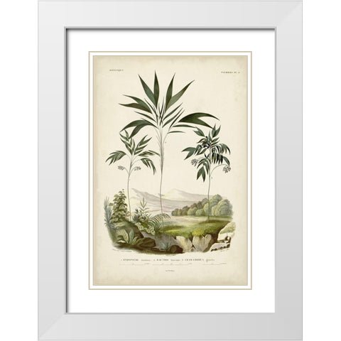 Antique Palm Collection III White Modern Wood Framed Art Print with Double Matting by DOrbigny, M. Charles