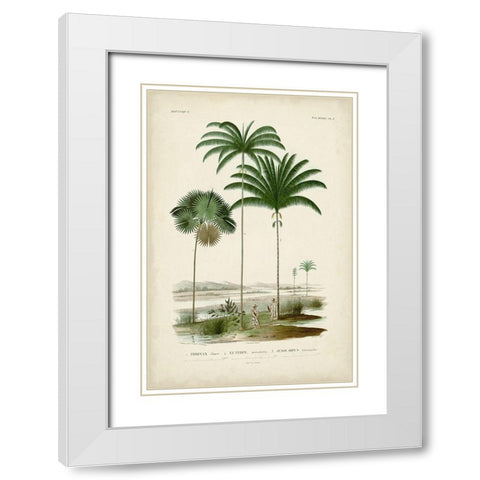 Antique Palm Collection IV White Modern Wood Framed Art Print with Double Matting by DOrbigny, M. Charles