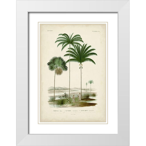 Antique Palm Collection IV White Modern Wood Framed Art Print with Double Matting by DOrbigny, M. Charles