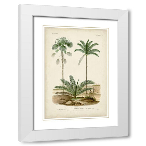 Antique Palm Collection V White Modern Wood Framed Art Print with Double Matting by DOrbigny, M. Charles