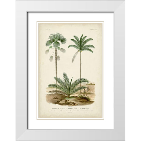 Antique Palm Collection V White Modern Wood Framed Art Print with Double Matting by DOrbigny, M. Charles