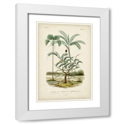 Antique Palm Collection VI White Modern Wood Framed Art Print with Double Matting by DOrbigny, M. Charles