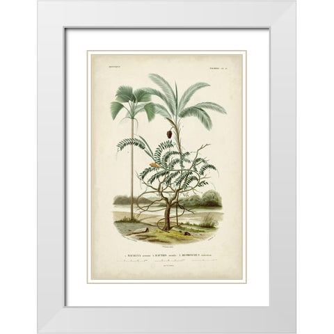 Antique Palm Collection VI White Modern Wood Framed Art Print with Double Matting by DOrbigny, M. Charles