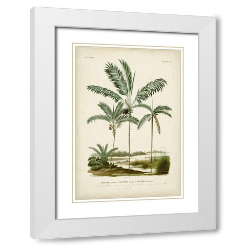 Antique Palm Collection VII White Modern Wood Framed Art Print with Double Matting by DOrbigny, M. Charles