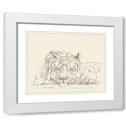 Cat Nap II White Modern Wood Framed Art Print with Double Matting by Harper, Ethan