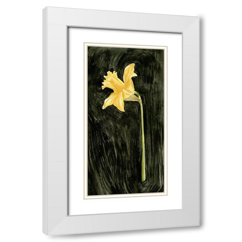 Dark Daffodils I White Modern Wood Framed Art Print with Double Matting by Caroline, Emma