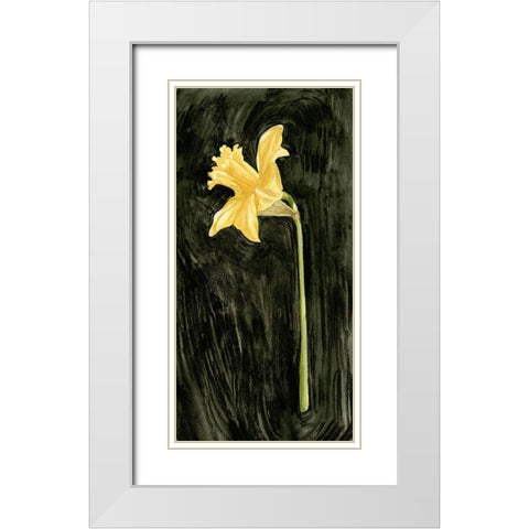 Dark Daffodils I White Modern Wood Framed Art Print with Double Matting by Caroline, Emma