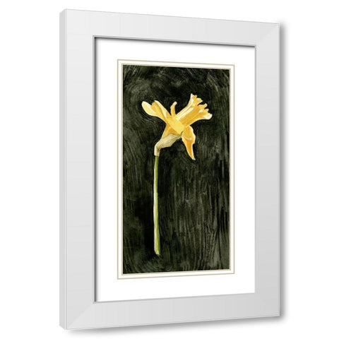 Dark Daffodils II White Modern Wood Framed Art Print with Double Matting by Caroline, Emma