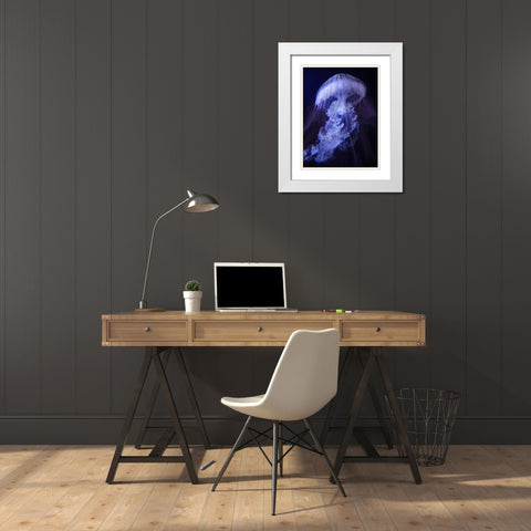 Peri Gelatinous I White Modern Wood Framed Art Print with Double Matting by Hunziker, Steve