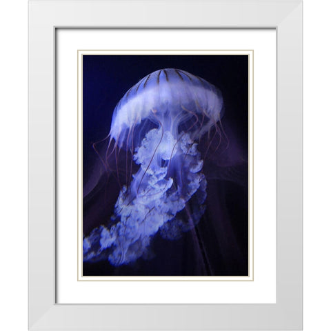 Peri Gelatinous I White Modern Wood Framed Art Print with Double Matting by Hunziker, Steve