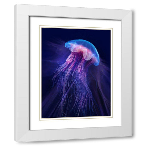 Peri Gelatinous II White Modern Wood Framed Art Print with Double Matting by Hunziker, Steve