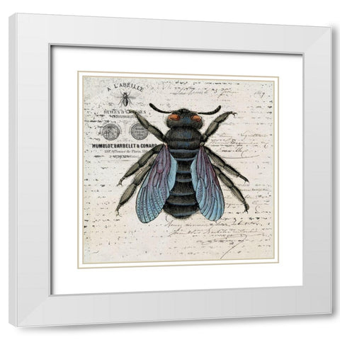 History Bee II White Modern Wood Framed Art Print with Double Matting by Smith, Karen