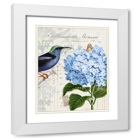 Vintage Aviary I White Modern Wood Framed Art Print with Double Matting by Smith, Karen