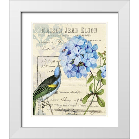 Vintage Aviary II White Modern Wood Framed Art Print with Double Matting by Smith, Karen