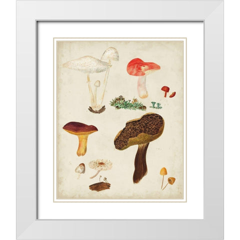 Mushroom Species XI White Modern Wood Framed Art Print with Double Matting by Vision Studio