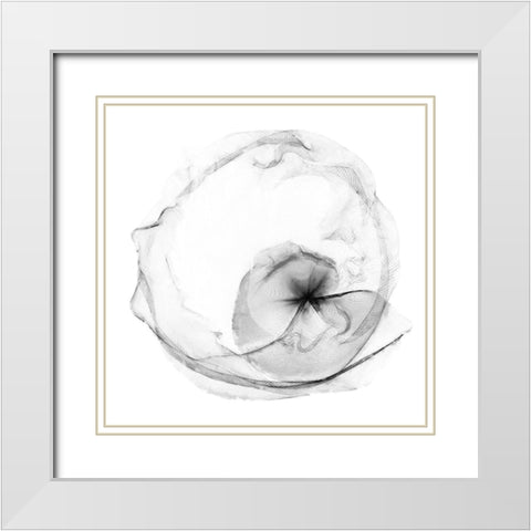 Veiled Illusions II White Modern Wood Framed Art Print with Double Matting by Curinga, Kim